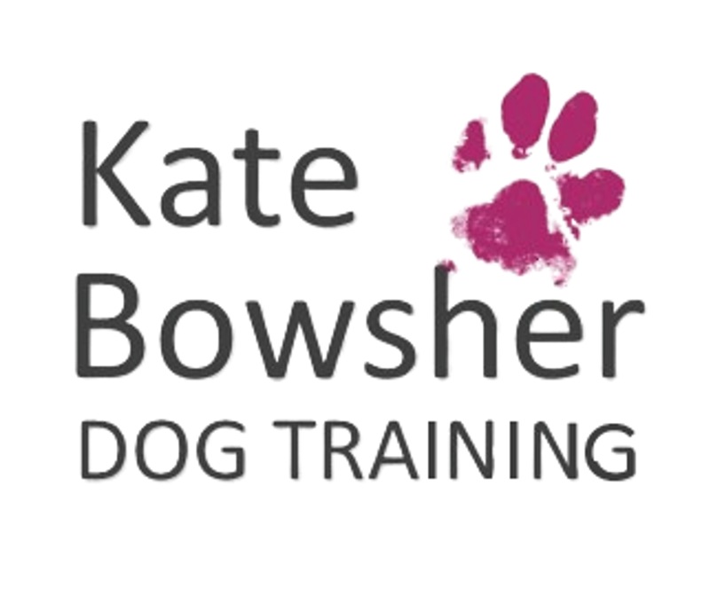 KB Dog Training